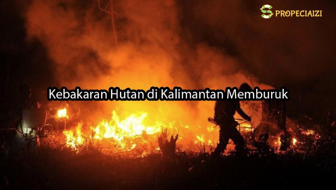 Kebakaran Hutan di Kalimantan Memburuk